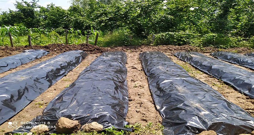 Düzce Sulama Sistemleri