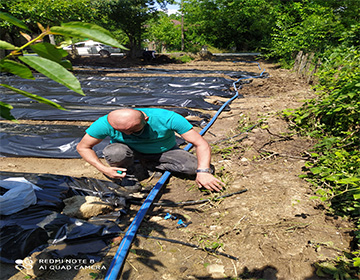 Düzce Sulama Sistemleri