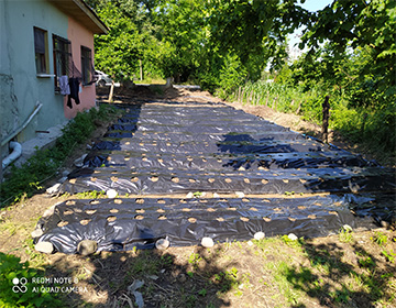 Düzce Sulama Sistemleri